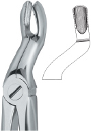 Tooth Ext Forceps