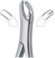 Harris Molars , left 18L